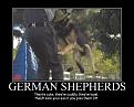Click image for larger version

Name:	shepherd.jpg
Views:	437
Size:	85.7 KB
ID:	2028986