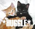 Click image for larger version

Name:	huggle.jpg
Views:	120
Size:	68.3 KB
ID:	2029452