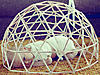 Click image for larger version

Name:	Geodesic Monica.jpg
Views:	174
Size:	88.2 KB
ID:	2029764