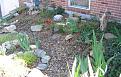 Front of house garden, all iris', grasses and hostas.